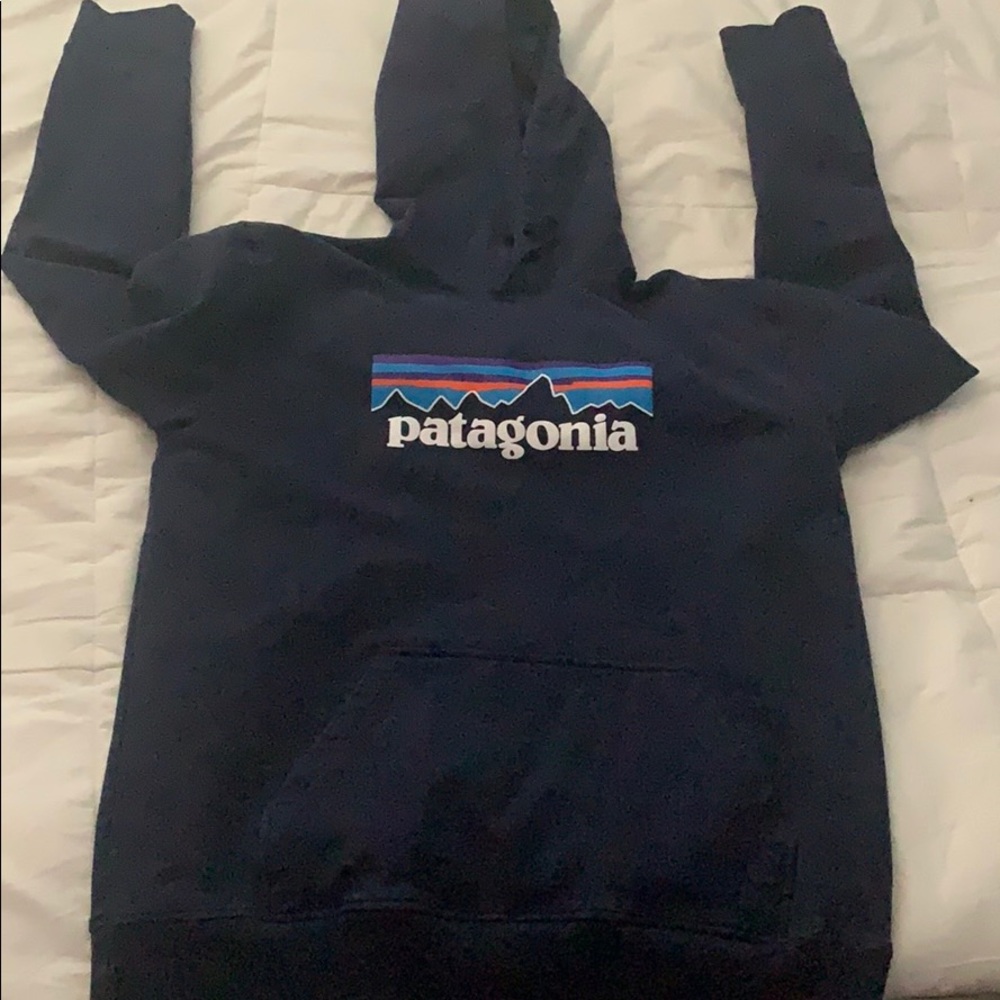 Mens Size large Patagonia hoodie. Size Large.